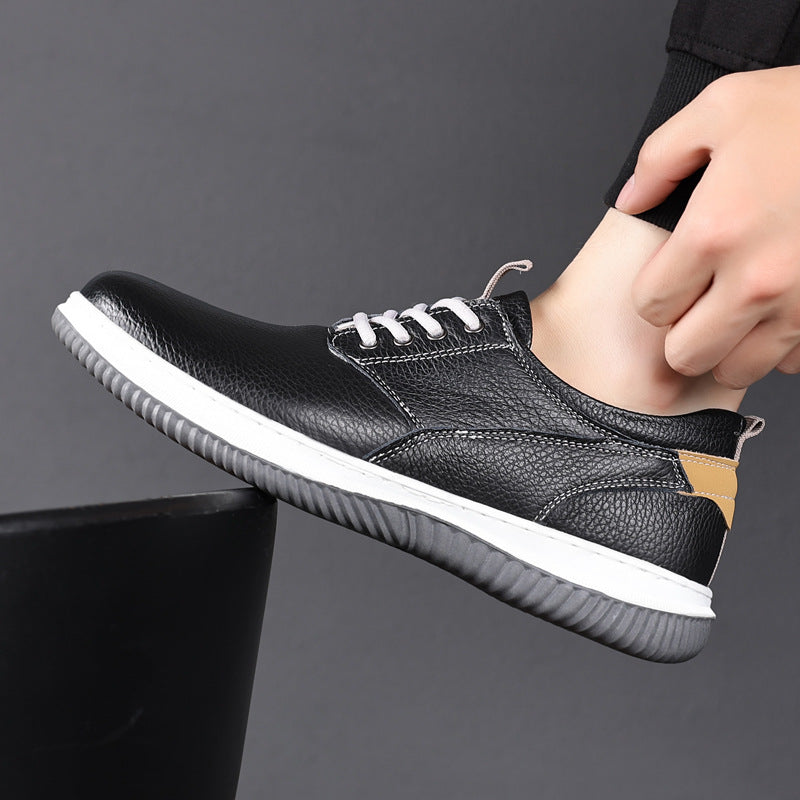 Torino Sneakers