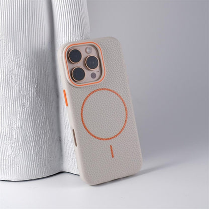 Stefano iPhone Case